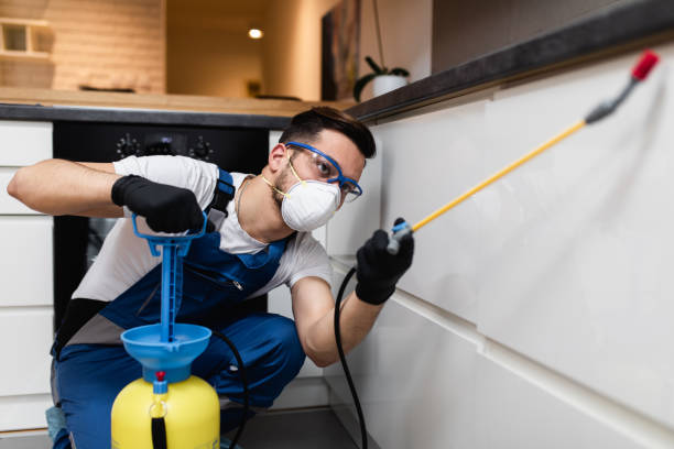 Professional Pest Control in Woodruff, SC